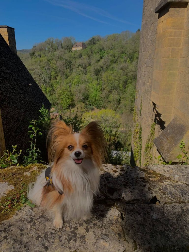 de la vallée de la Py - Reçu une photo de Sweety de la vallée de la py merci