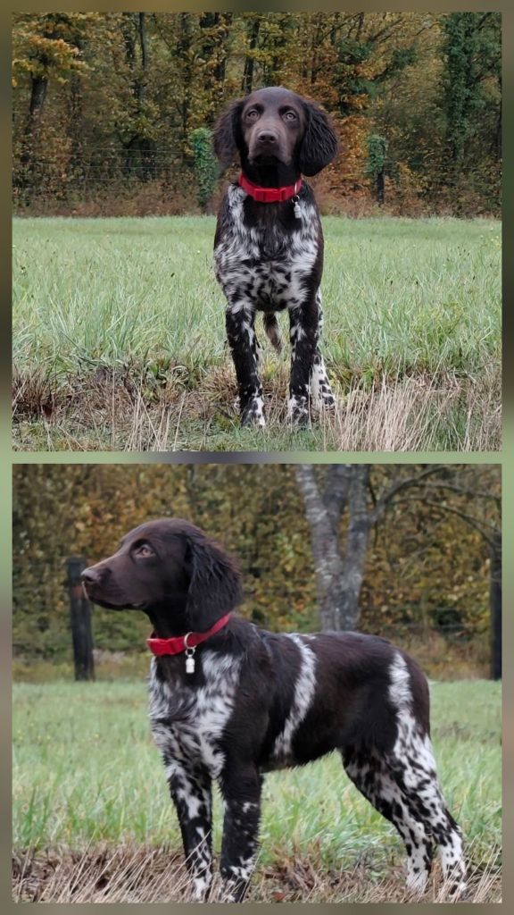 De La Vallée De La Py - Reçu des photos de Avane de la vallée de la py merci