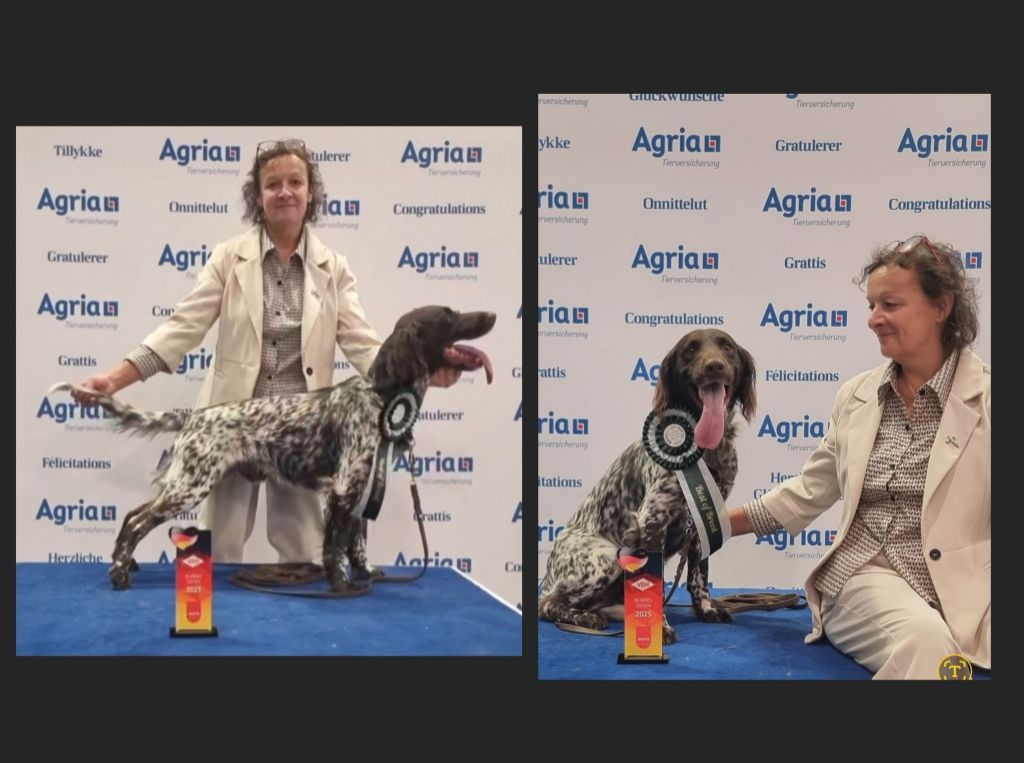 Une bonne nouvelle pour Usko