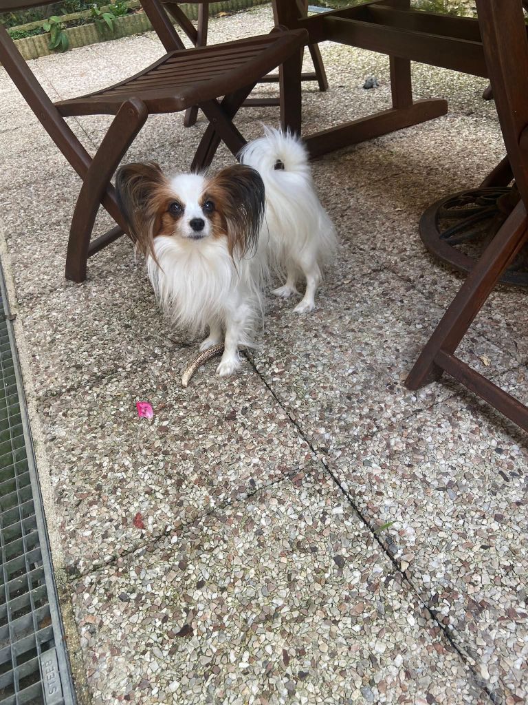 De La Vallée De La Py - Reçu une photo de Ula  de la vallée de la py merci