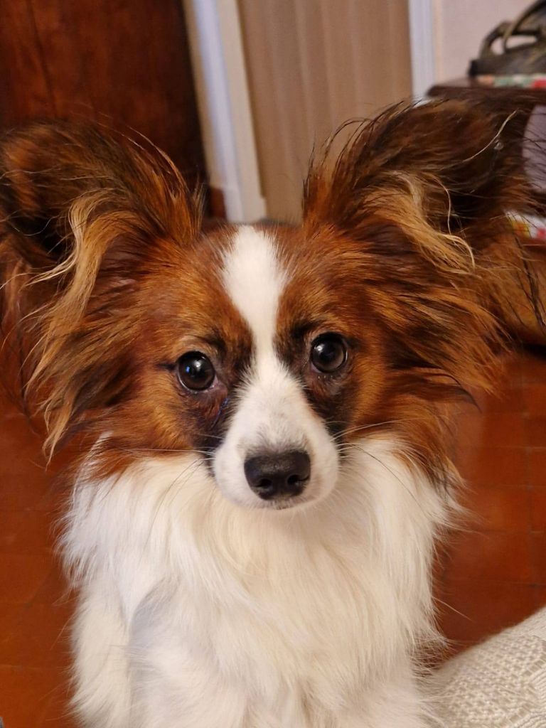 De La Vallée De La Py - Reçu une photo de Vodka de la vallée de la py merci