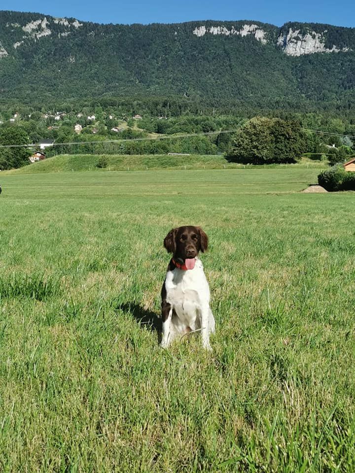 de la vallée de la Py - Une autre photo de Naya de la vallée de la py