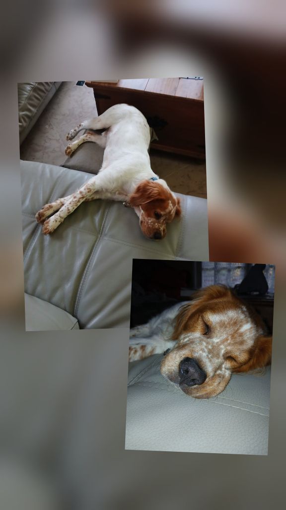 Reçu des photos de Atlas dit Sirkiss de la vallée de la py merci