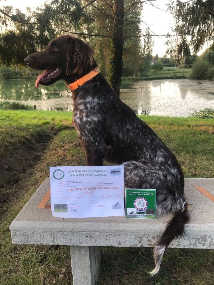 de la vallée de la Py - Reçu une photo de Peppa de la vallée de la py Tan plus confirmation