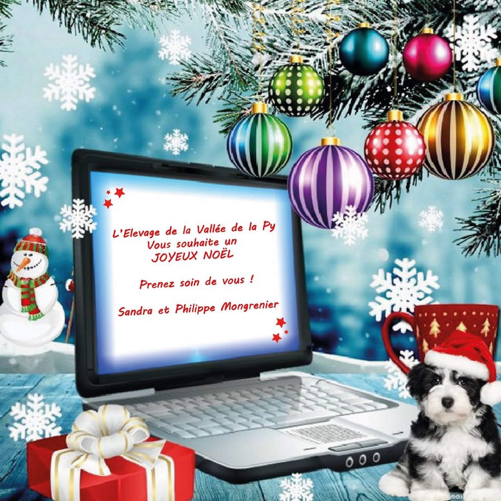 de la vallée de la Py - Joyeux noël