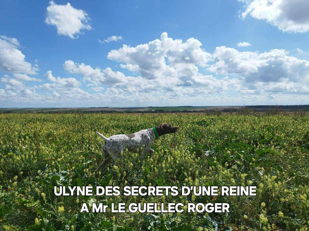 De La Vallée De La Py - CONCOURS DE  FIELD TRIAL  D 'AUTOMNE 2025