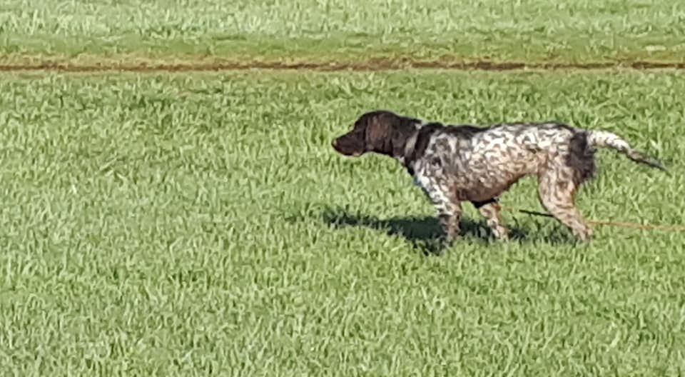 de la vallée de la Py - Reçu une photo de Ruska de la vallée de la py merci