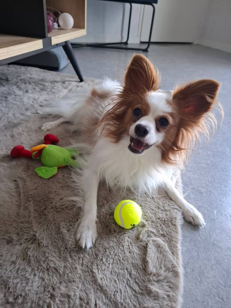 De La Vallée De La Py - Reçu une photo de Urfy de la vallée de la py merci