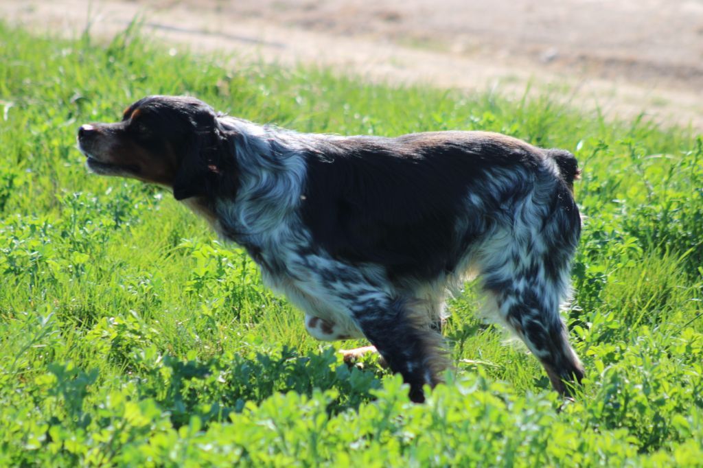 CONCOURS DE BICP 2025