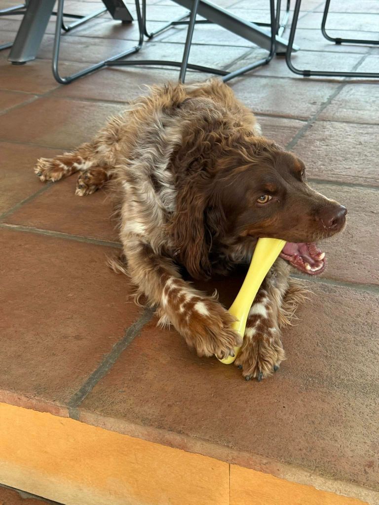 Reçu une photo de Toto de la vallée de la py merci