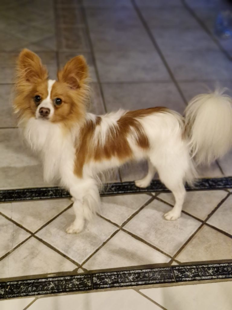 De La Vallée De La Py - Reçu une photo de Velcro de la vallée de la py merci