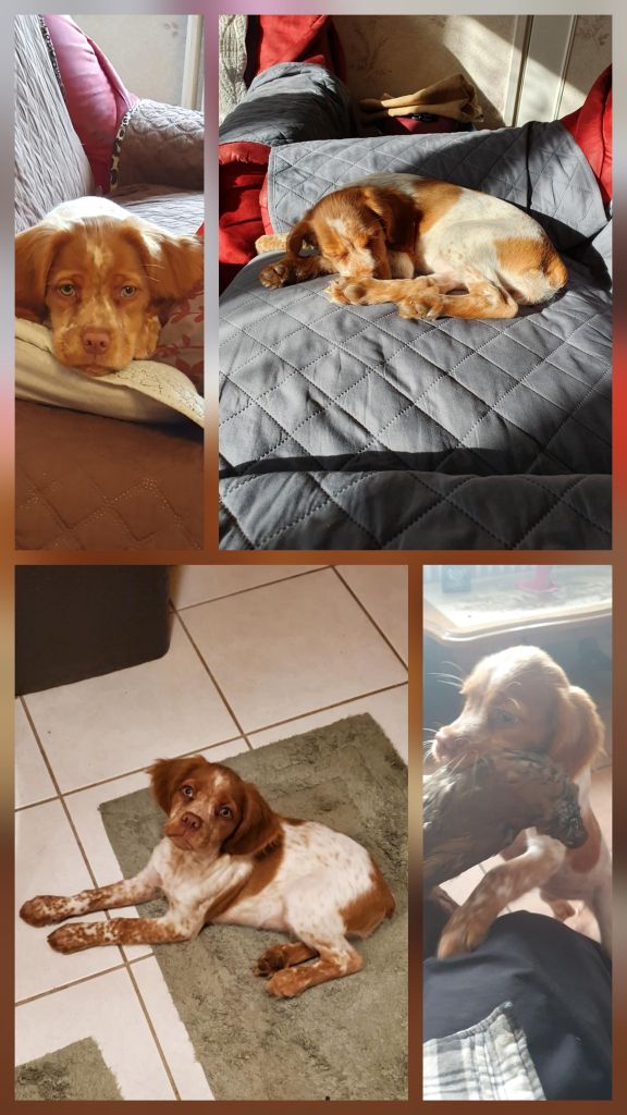 Reçu des photos de Alya de la vallée de la py merci