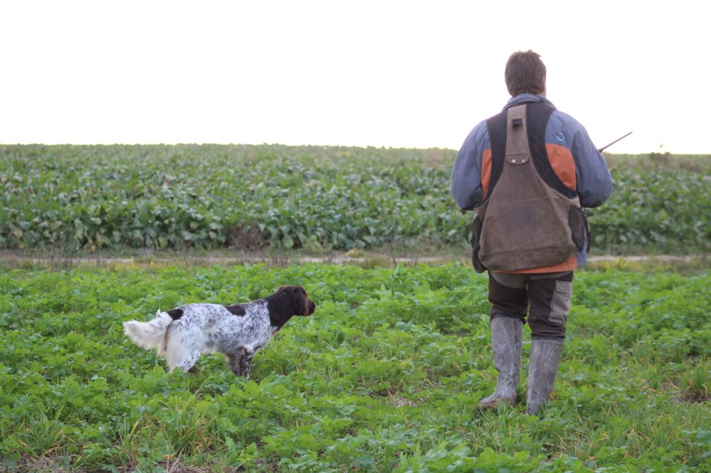 de la vallée de la Py - Sortie dans les champs avec ORY