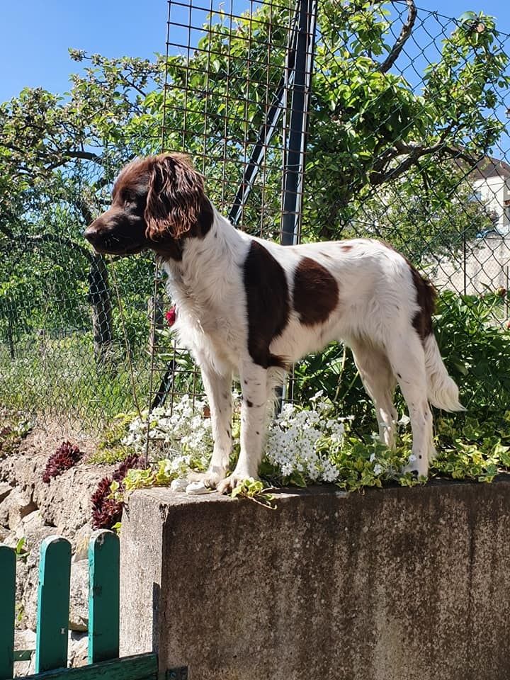 de la vallée de la Py - Reçu une photo de Pixelle de la vallée de la py merci