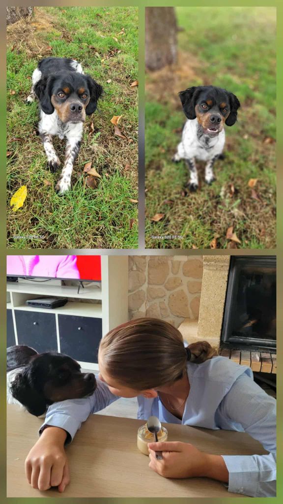 De La Vallée De La Py - RECU UNE PHOTOS DE VOLT DE LA VALLEE DE LA PY MERCI