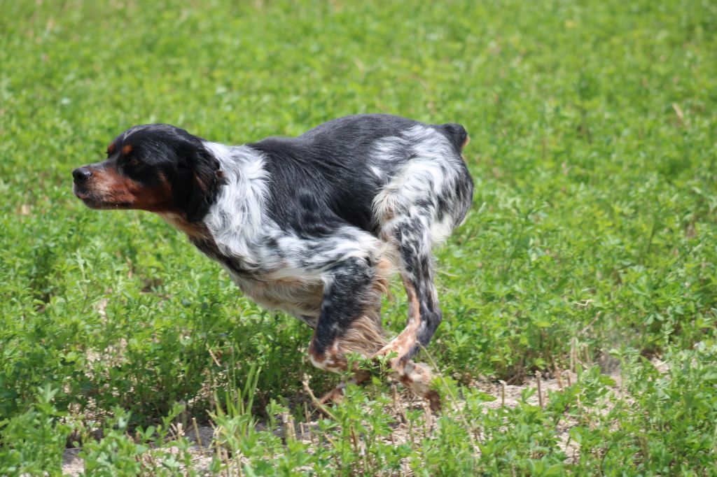 CONCOURS DE BICP 2025