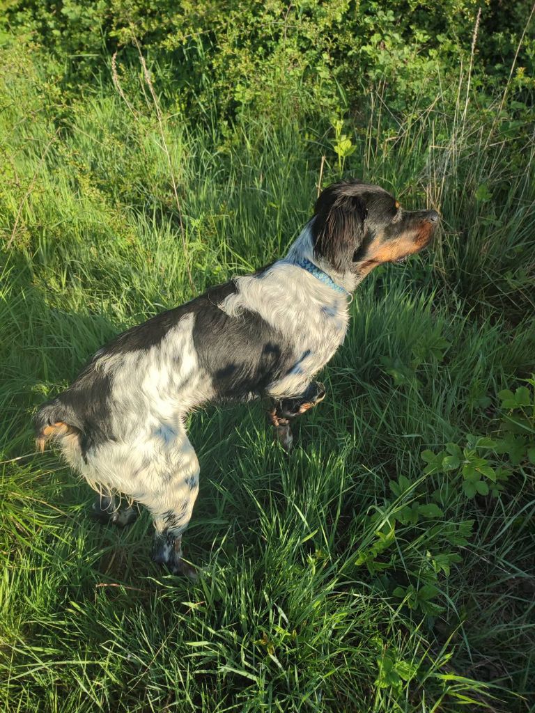de la vallée de la Py - Reçu une photo de Volf de la vallée de la py merci