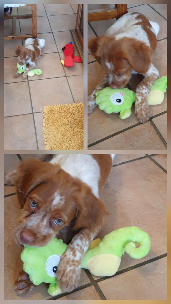 Reçu des photos de Alya de la vallée de la py merci