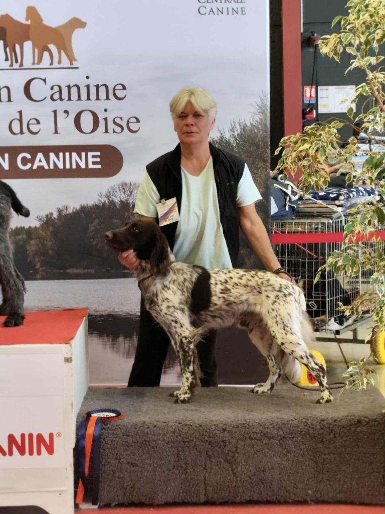 Exposition à Thenelles et à Margny les Compiègne les deux jours