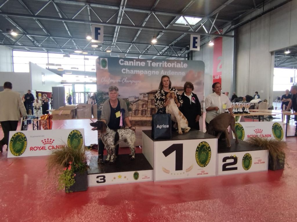 de la vallée de la Py - EXPOSITION A CHALONS LE 22 ET 23 JUIN 2024