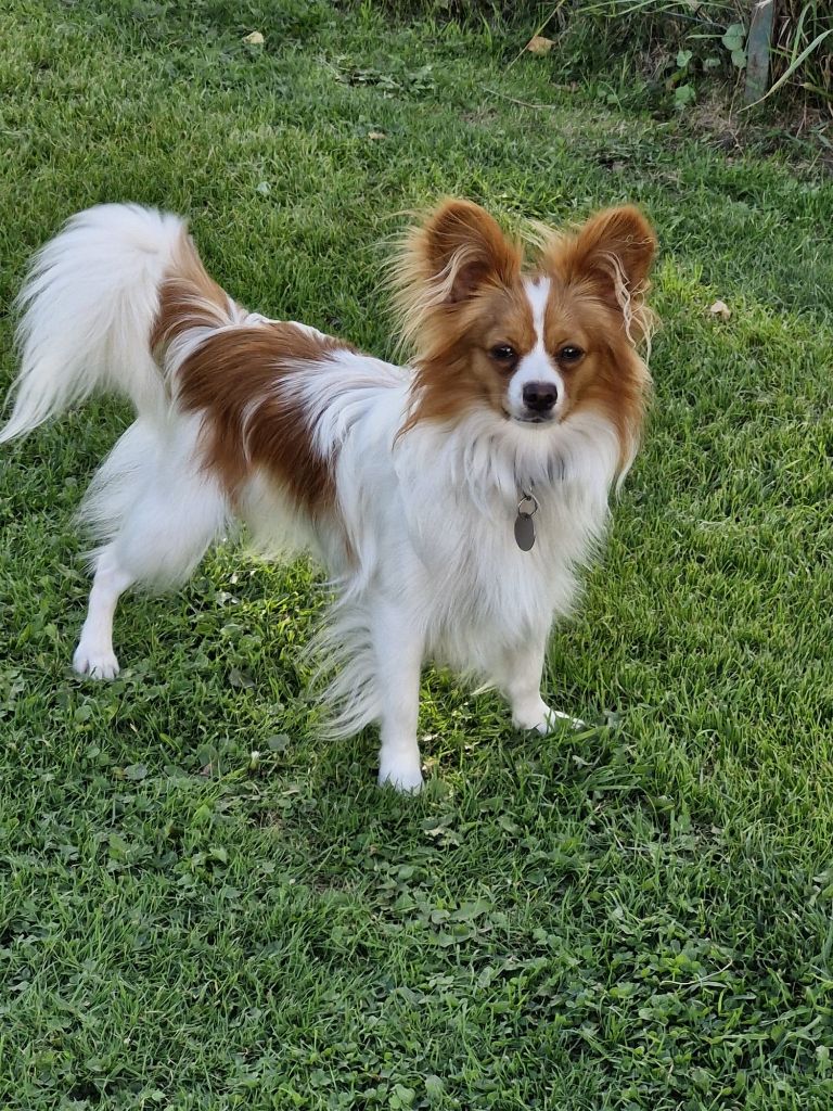 De La Vallée De La Py - Reçu une photo de Velcro de la vallée de la py merci