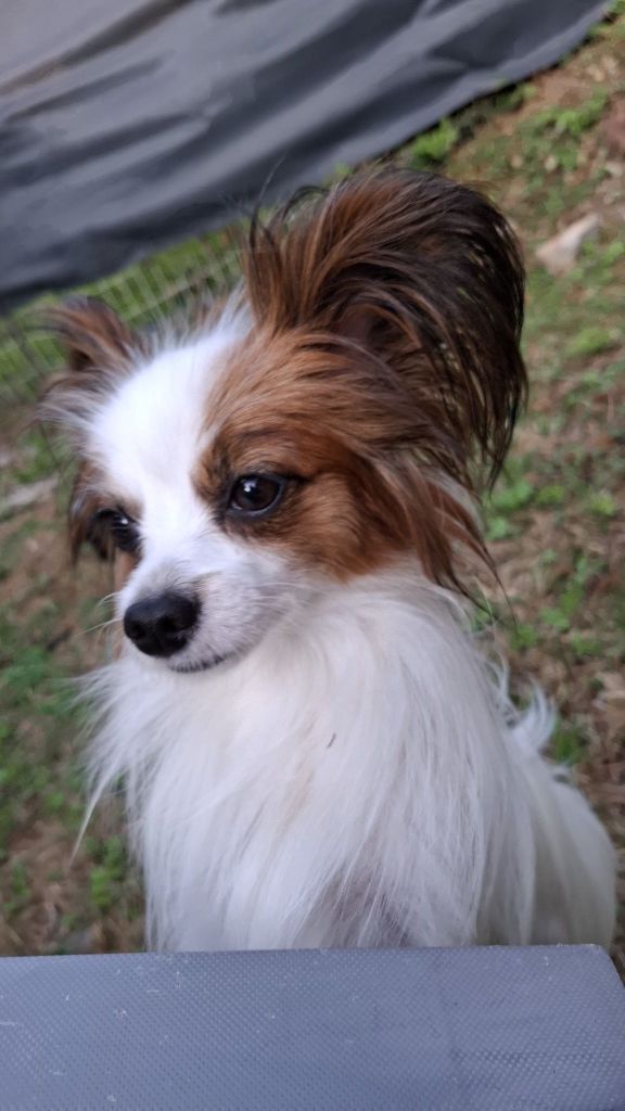 De La Vallée De La Py - Reçu une photo de ULA de la vallée de la py merci