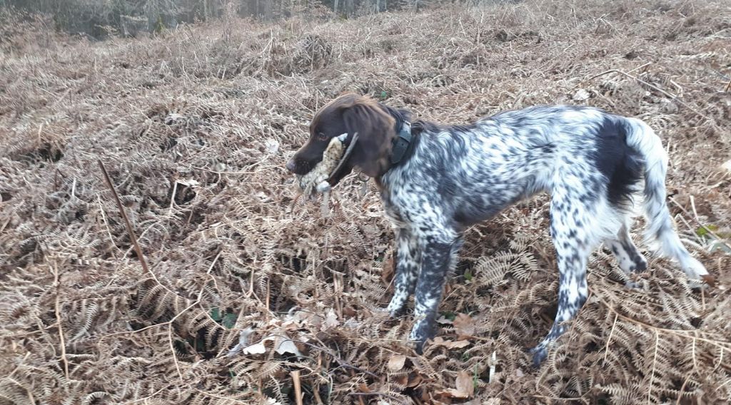 de la vallée de la Py - Reçu une photo de Ruska de la vallée de la py merci