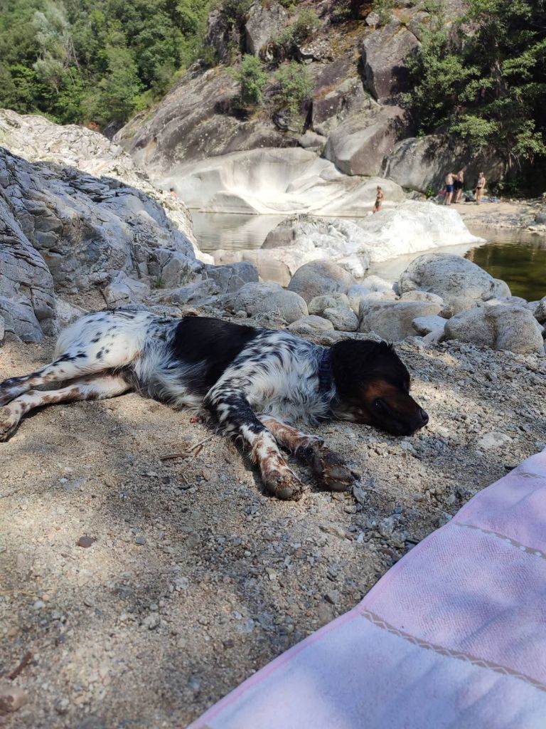 Reçu une photo de Volf de la vallée de la py merci