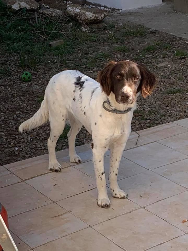 de la vallée de la Py - Reçu une photo de Polly de la vallée de la py merci