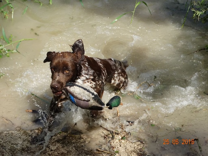 de la vallée de la Py - SORTIE A L'EAU AVEC LA PUCE