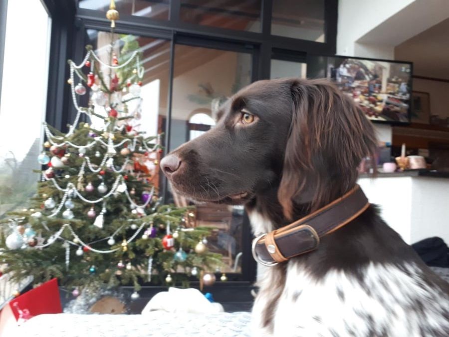 de la vallée de la Py - Reçu une photo de Sheyenne de la vallée de la py merci