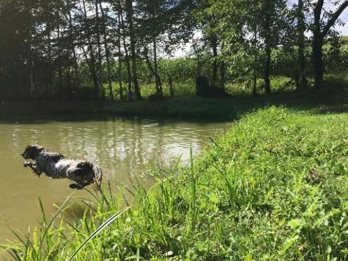 de la vallée de la Py - UNE AUTRE PHOTO DE LIANA