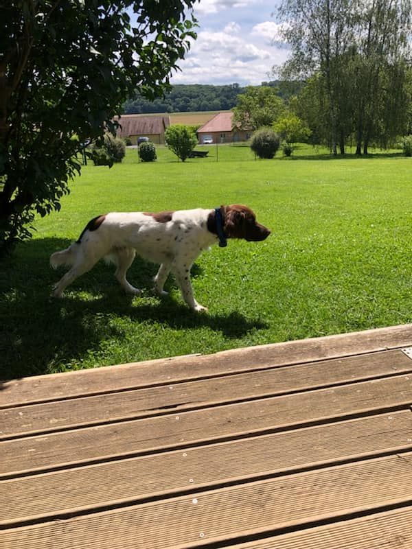 de la vallée de la Py - Reçu une photo de Stasko de la vallée de la py merci