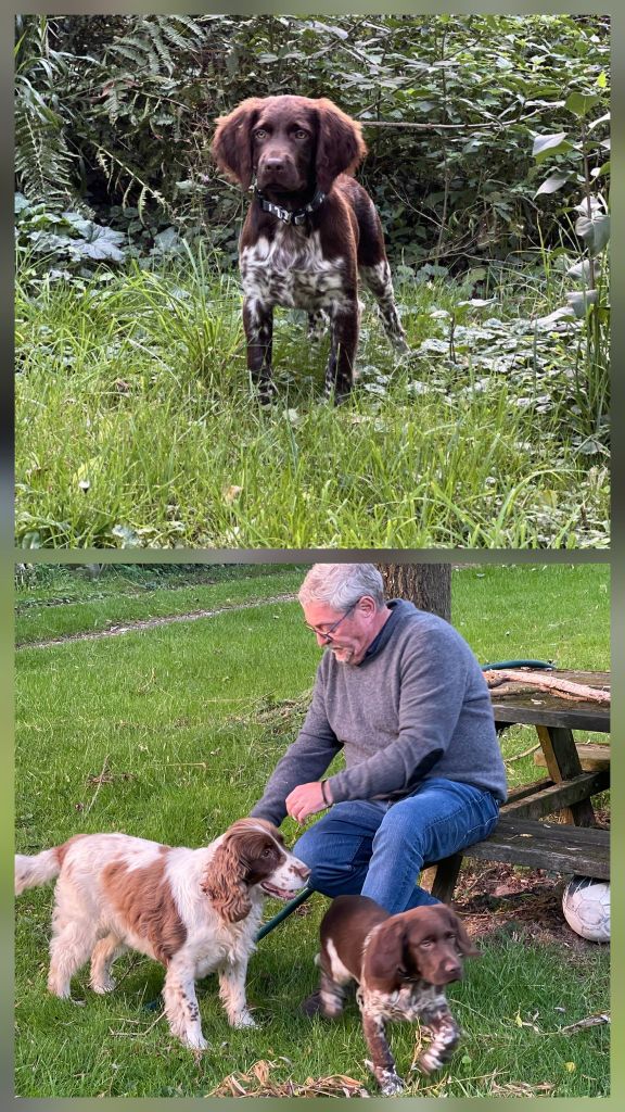 	Reçu des photos de Argos de la vallée de la py merci