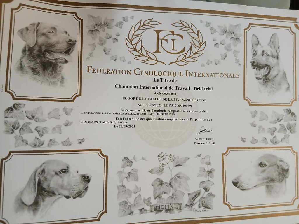 TITRE DE CHAMPION INTERNATIONAL DE TRAVAIL DE FIELD TRIAL