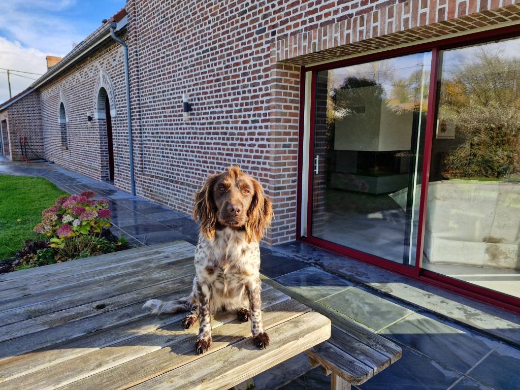 de la vallée de la Py - Reçu une photo de Takine de la vallée de la py merci