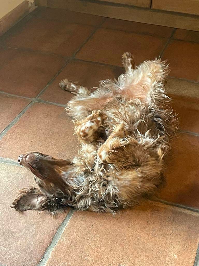 Reçu une photo de Toto de la vallée de la py merci