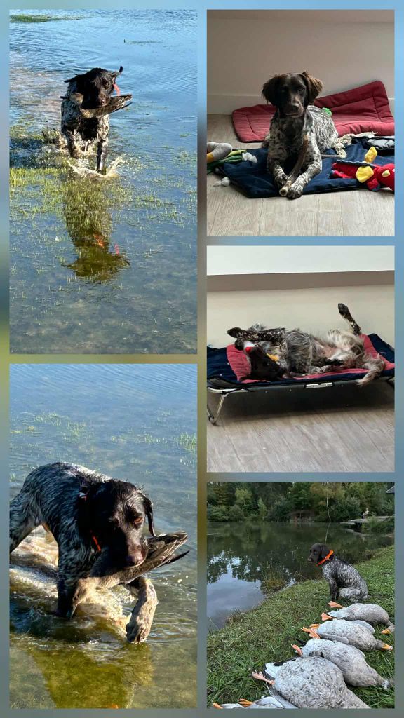 De La Vallée De La Py - Reçu des photos de Ubby de la vallée de la py merci