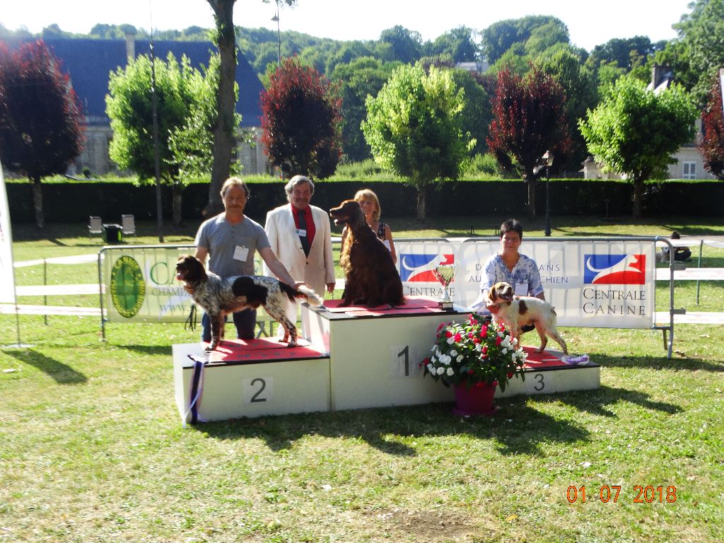 de la vallée de la Py - EXPOSITION AVEC LIVER