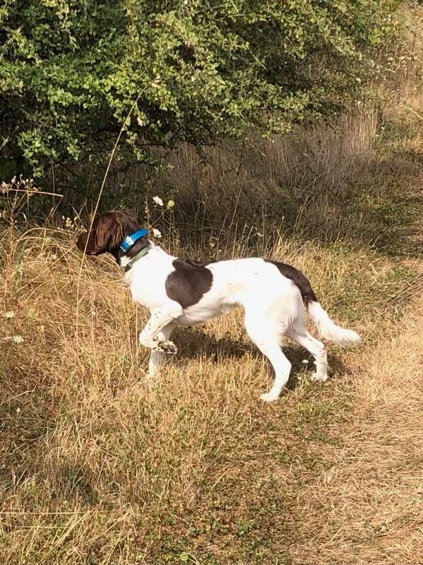 de la vallée de la Py - Reçu une photo de Stasko de la vallée de la py merci