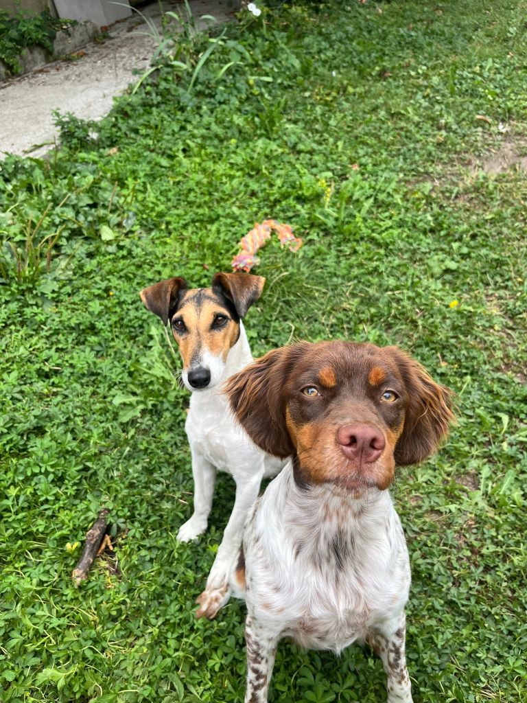 Reçu une photo de Arya de la vallée de la py merci