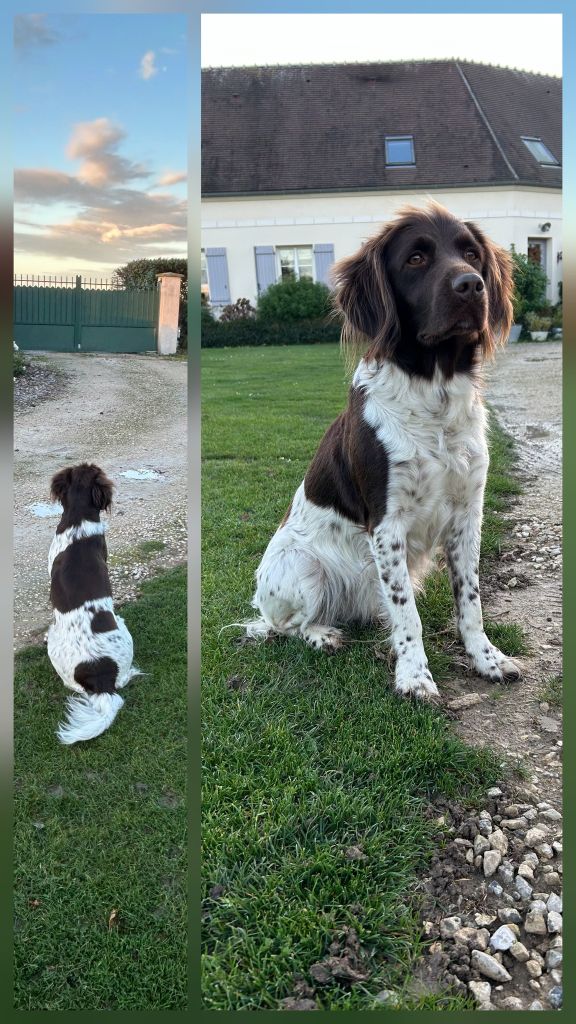 De La Vallée De La Py - Reçu des photos de Radaz de la vallée de la py merci