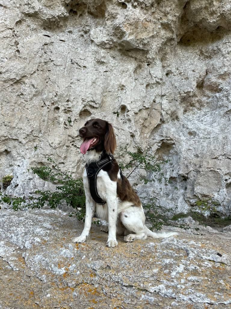 de la vallée de la Py - Reçu une photo de Scala de la vallée de la py