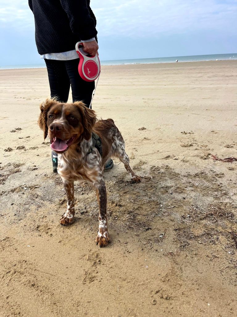 Reçu une photo de Vixie de la vallée de la py merci