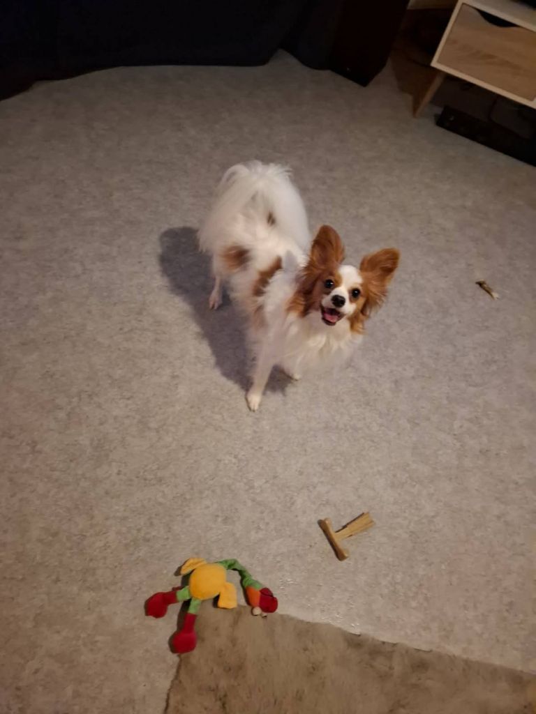 De La Vallée De La Py - RECU UNE PHOTO DE URFY DE LA VALLEE DE LA PY MERCI