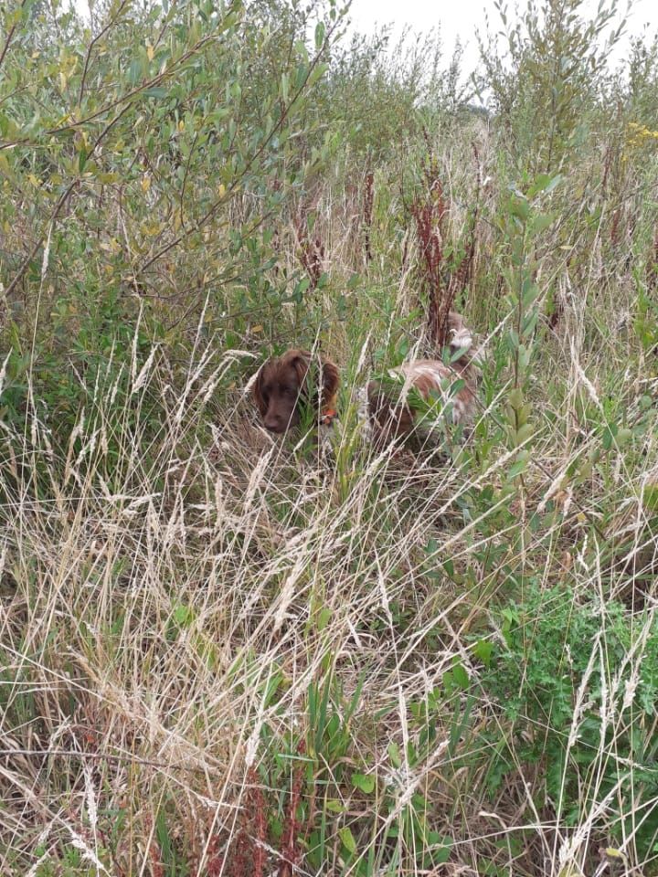 de la vallée de la Py - Reçu une photo de Pady de la vallée de la py a l'arrêt merci