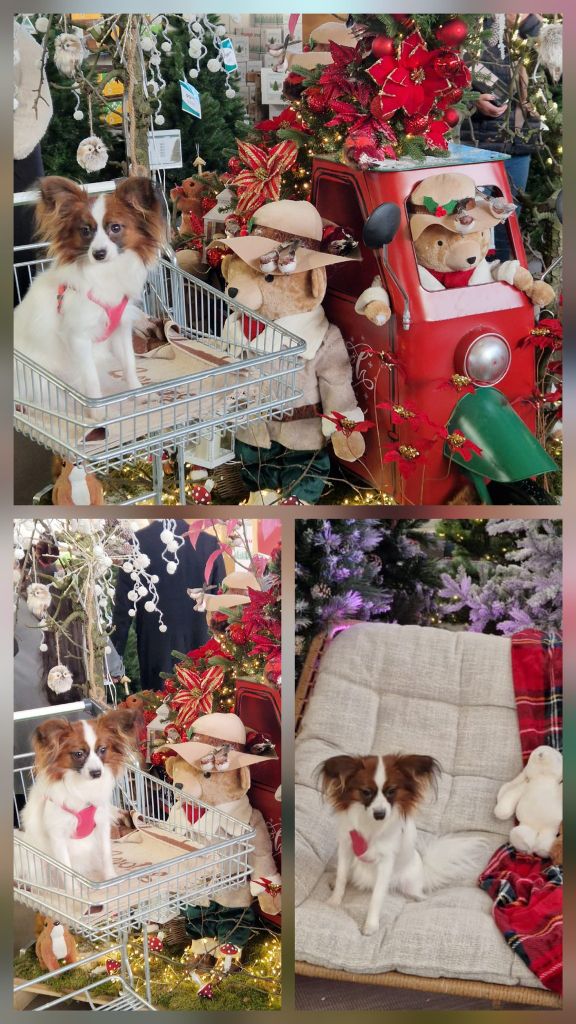 De La Vallée De La Py - Reçu des photos de Vodka de la vallée de la py merci