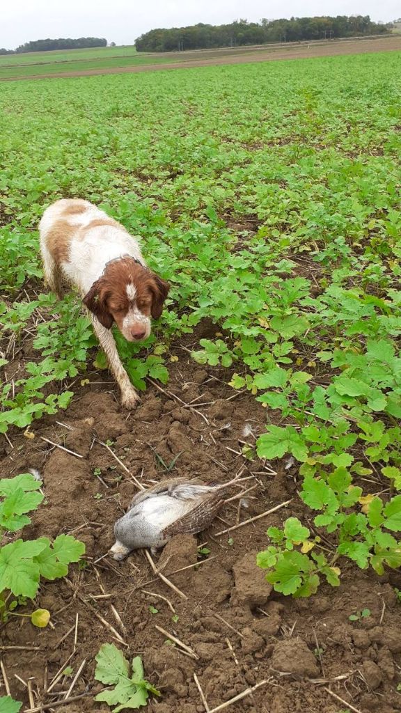 De La Vallée De La Py - Reçu une photo de VANILLE DE LA VALLEE DE LA PY merci