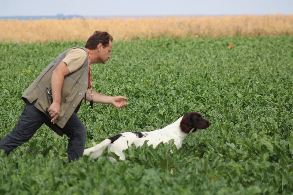 de la vallée de la Py - FIELD TRIALS D'AUTOMNE 2020