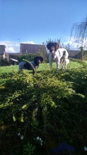 de la vallée de la Py - DES NOUVELLES DE MISTRAL ET JOUSTEUR